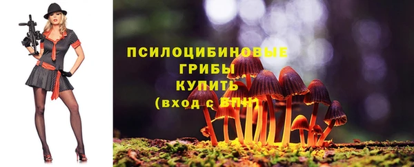 apvp Зеленодольск