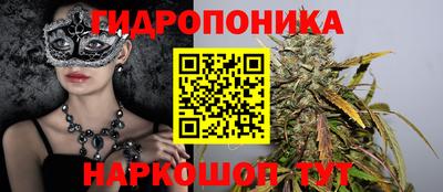 PSILOCYBIN Малгобек