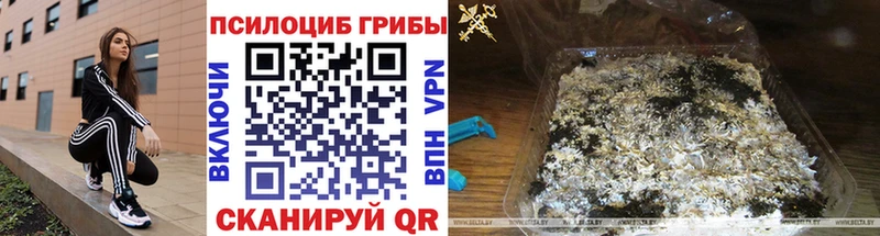 Псилоцибиновые грибы Psilocybe  Валуйки 