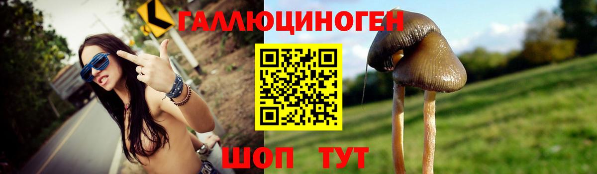 Галлюциногенные грибы GOLDEN TEACHER Валуйки